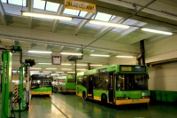 W okolicach szarpaka